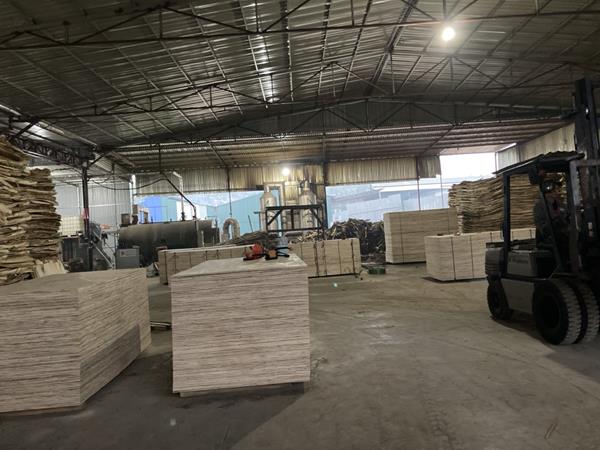 Ván ép - Pallet, Ván ép Gỗ Kim - Công Ty TNHH Thương Mại Gỗ Kim